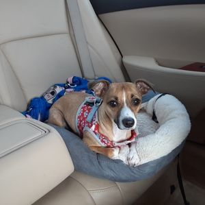 Meet your Posher, Angela